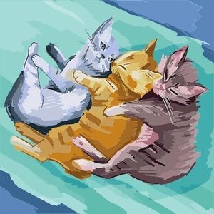 Meet your Posher, Adrian